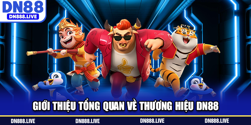 Giới thiệu tổng quan về thương hiệu DN88