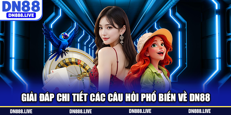 Giải đáp chi tiết các câu hỏi phổ biến về DN88