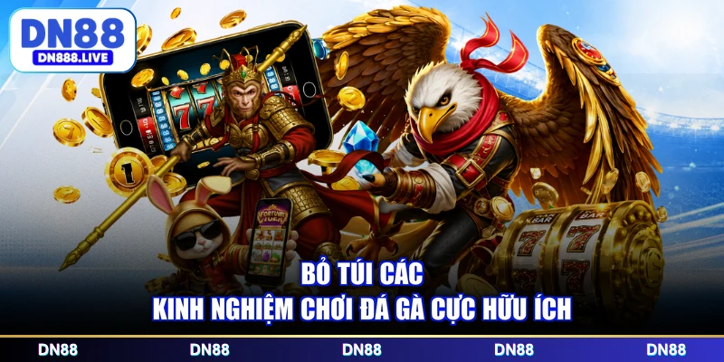 Bỏ túi các kinh nghiệm chơi đá gà cực hữu ích