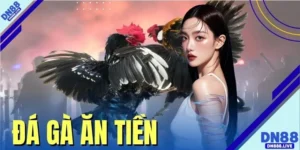 Đá Gà Ăn Tiền