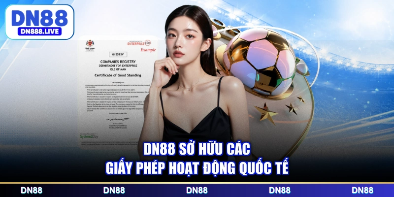 DN88 sở hữu các giấy phép hoạt động quốc tế