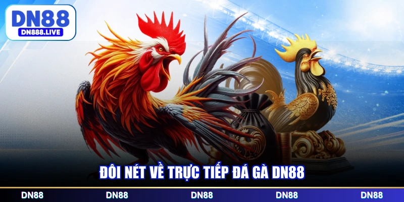 Đôi nét về trực tiếp đá gà DN88