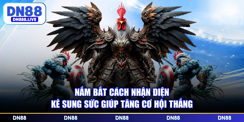 Nắm bắt cách nhận diện kê sung sức giúp tăng cơ hội thắng