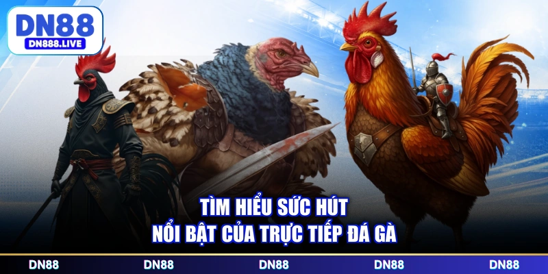 Tìm hiểu sức hút nổi bật của trực tiếp đá gà