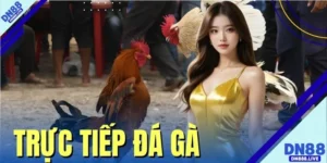 Trực Tiếp Đá Gà