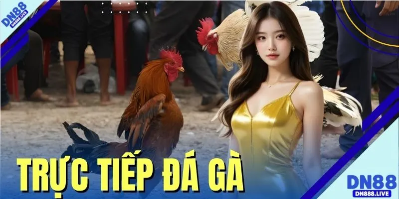 Trực Tiếp Đá Gà